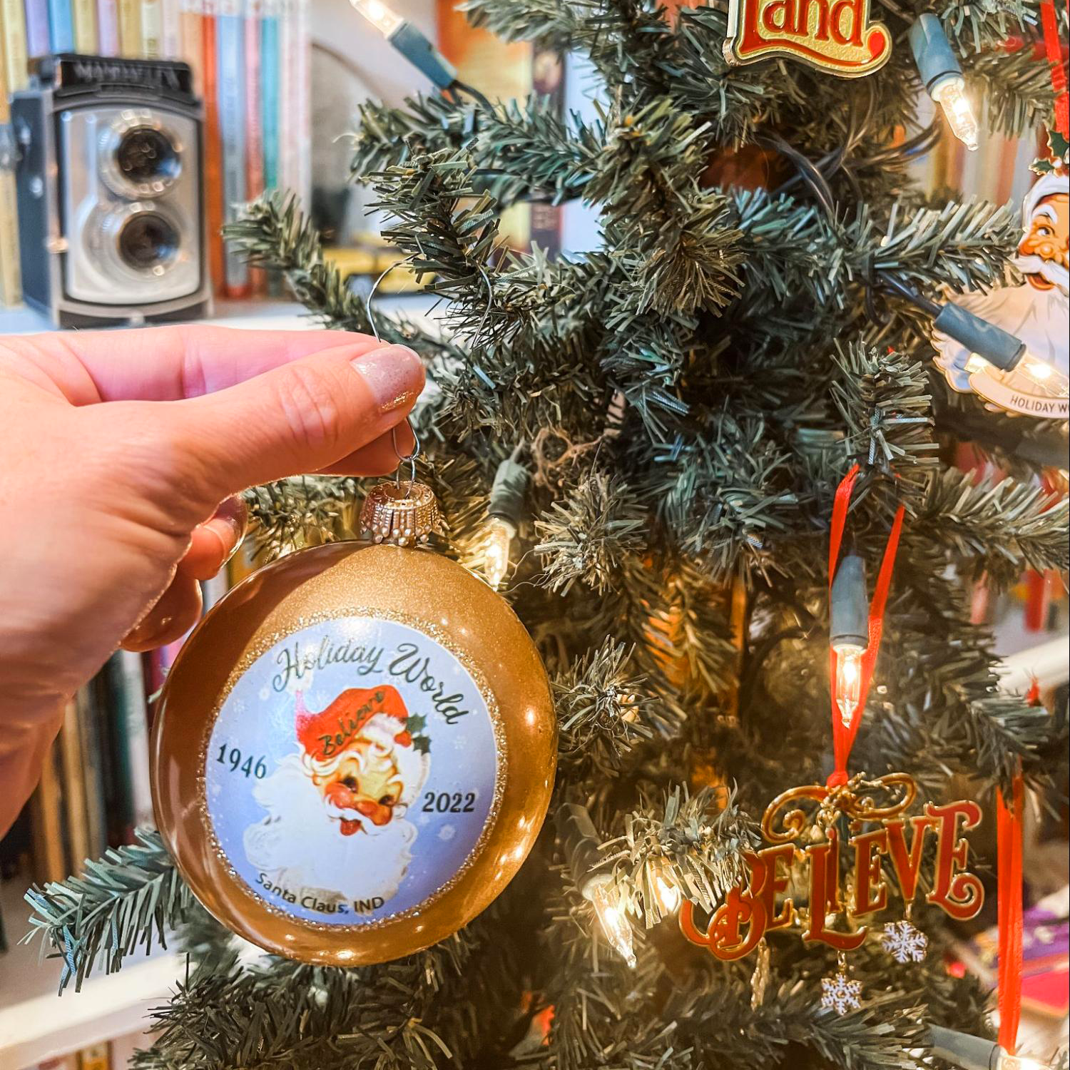 HoliBlogger Tara's ornaments on her Travel Christmas Tree.