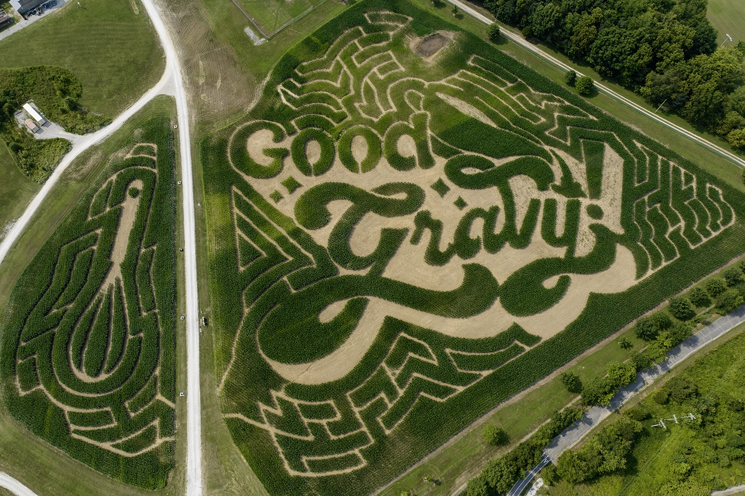 Aerial view of the 2024 Holiday World Happy Halloween Weekends Corn Maze design featuring the Good Gravy! Logo.