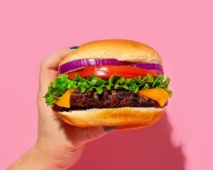 A hand holding a cheeseburger at Holiday World & Splashin' Safari in Santa Claus, Indiana.