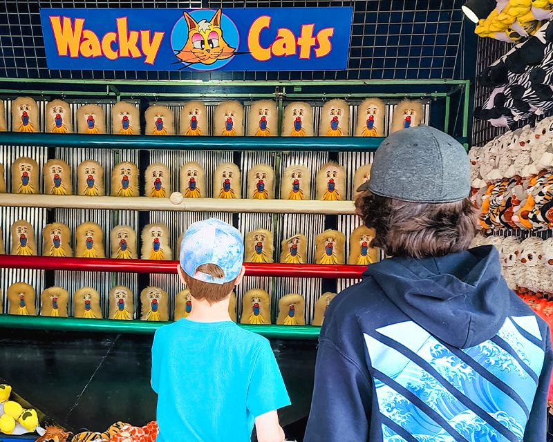 Two boys playing Wacky Cats. The younger of the two throws a ball at the game.
