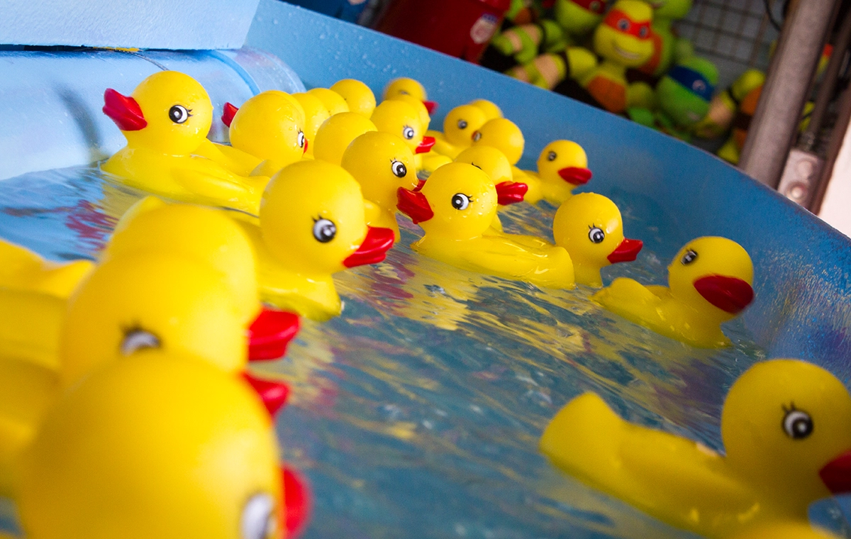 Duck Pond - Holiday World Theme Park & Splashin' Safari Water Park
