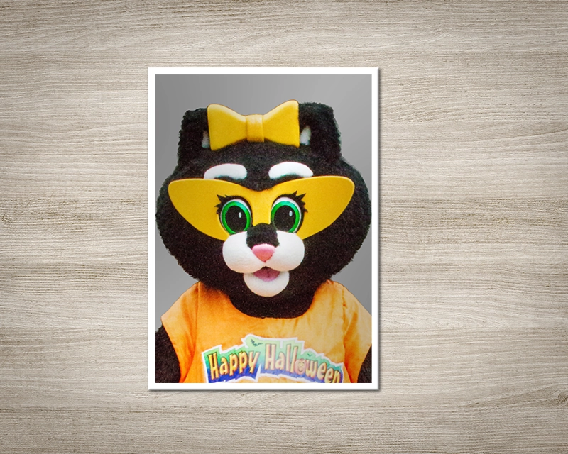 A photo of Kitty Claws depicting the correct way to frame a Season Pass photo for online processing.