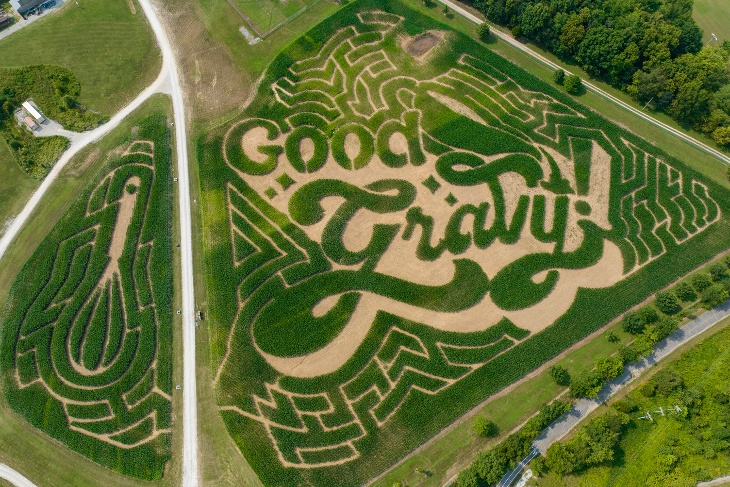 2024 Corn Maze featuring the Good Gravy! Logo and whisk