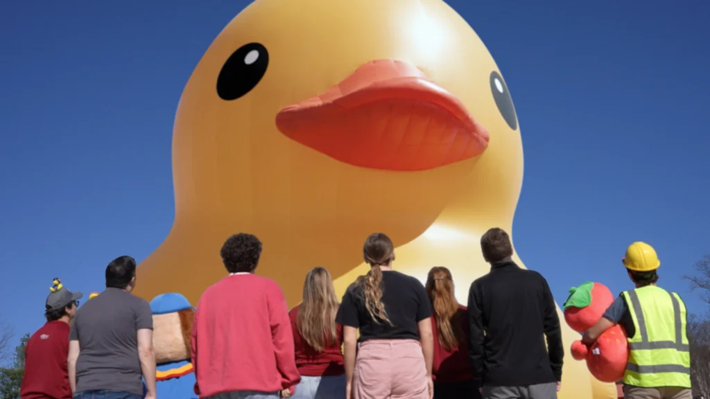 A group stands looking up at "Mama Duck" - the world's largest rubber duck