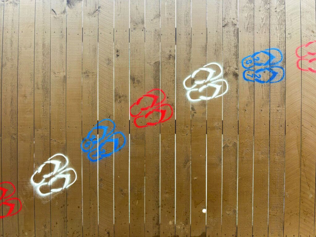 Image shows a brown fence with red white and blue flip flops painted on
